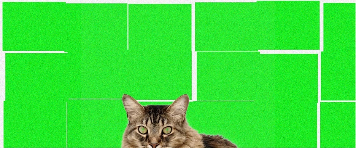 Hacker Noon offering image