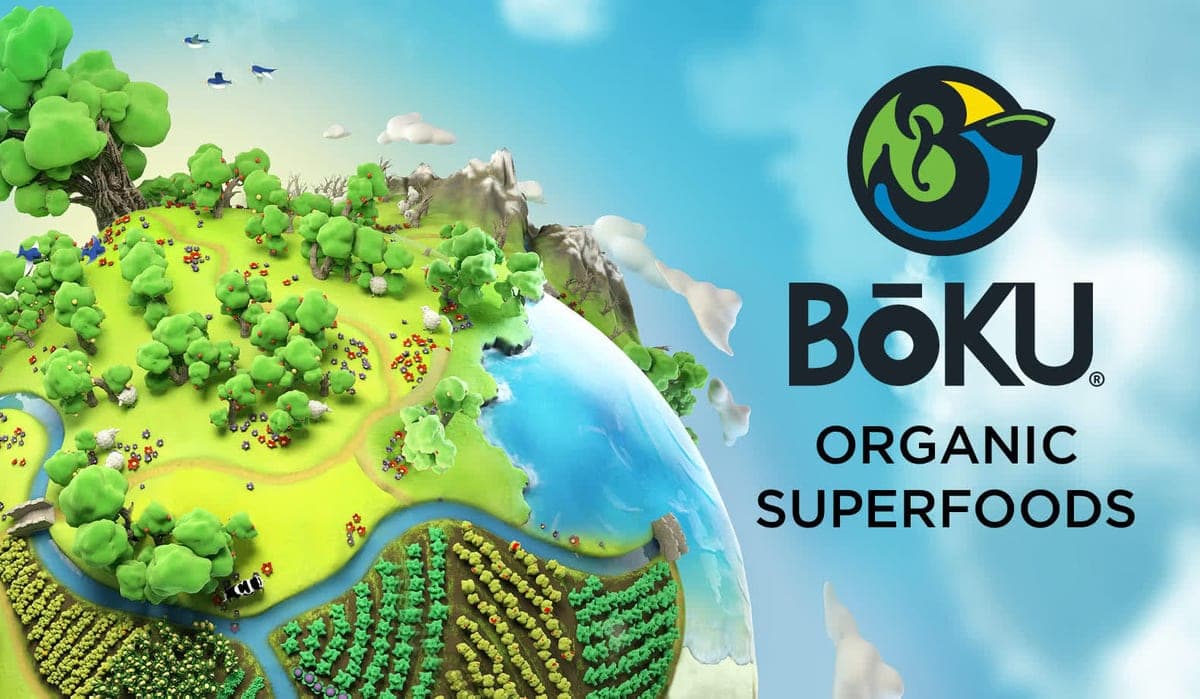 Boku International offering image