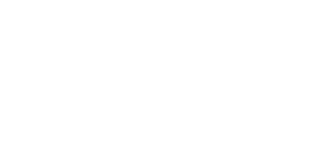Cerebras