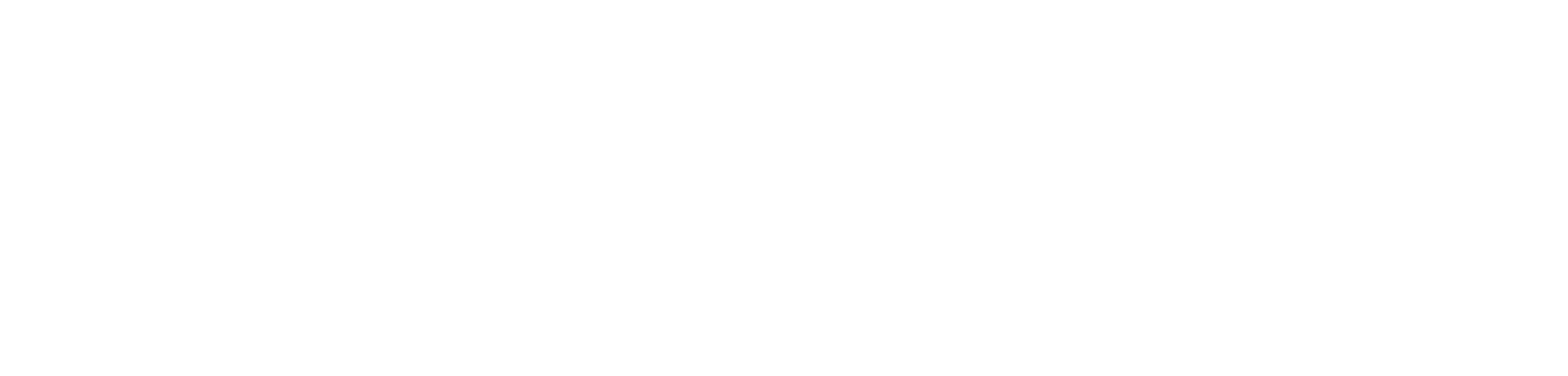 Perplexity